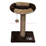 Paws N Tails 46cm Cat Scratching Post With Pompom Toy Tree Cat Play