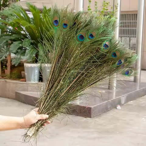 Real Long Big Eyes Peacock Feathers Decoration 25-50cm for Wedding Home Table Center Vase Accessorie