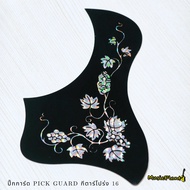 Pick Guard Acoustic Guitar 16