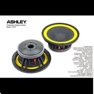 Ashley V10C3 1o Inch 250watt-700watt Mixer Audio Speaker