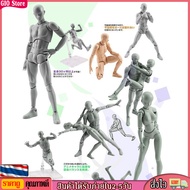 [GIO Store] LUXE SHF figuarts Body Kun Chan DX ตั้งค่าการวาดภาพสำหรับศิลปิน