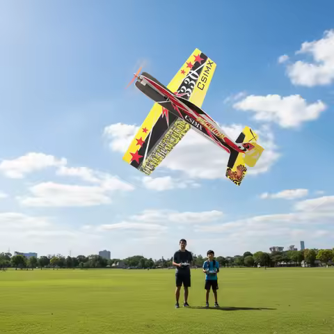 RC Airplane, F3P 330 Stunt Plane, Electric Lightweight Foam, Sturdy Fixed Wing, DIY Remote Control M