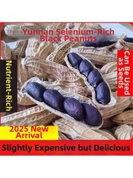 High Quality Rich Selenium Black Peanuts 500g