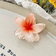 Small plumeria hairpin 2024 new style female back head hairpin summer new style hairpin pointed head