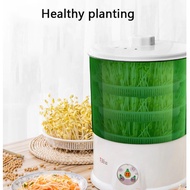 Bean Sprouts Maker Large Capacity Seed Growing Bean Sprout Machine /Mesin Taugeh