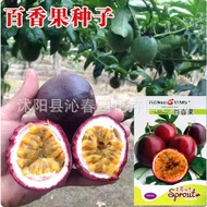 0702921450[Passion Fruit Seeds] Golden Passion Fruit Gypsophila Passion Fruit Four Seasons Balcony P