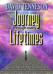 Journey Through Many Lifetimes David Tenneson
