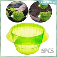 [lzdhuiz3] 6 Pieces Garden Plant Cloche Protective Covers Guard Plant Bell Protectors