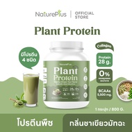 NaturePlus ส่งฟรี🍀โปรตีนพืช กลิ่นมัทฉะชาเขียว🍵 โปรตีนสูง พืช 4 ชนิดผสมคอลลาเจน | 1 กระปุก(800g)