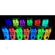 Luminous paint 15G