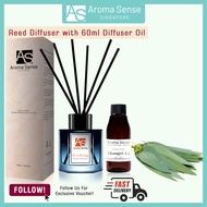 Aroma Sense Eucalyptus Aromatherapy Reed Diffuser (60ml) use for Aromatherapy - Spa - Home - Kitchen - Bath - Office/ Essential Oil [Re.D]