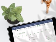 2022-2023 Goodnotes 未註明日期的社交媒體內容日曆 朱槿色調