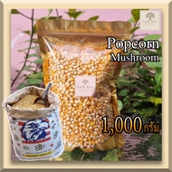 (ตรานกอินทรีย์) (1กิโลกรัม) เมล็ดข้าวโพดดิบ เม็ดข้าวโพด Popcorn ป๊อปคอร์น ข้าวโพดคั่ว แบบ Mushroom มัชรูม เมล็ดกลมใหญ่  ป๊อบกลมสวย เกรดพ