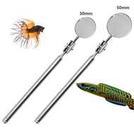 channa betta flare stick Stainless steel 360
