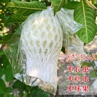 Guava Guava Bagging Fruit Protection Net Cover Tree Insect-Proof Bag Guava Guava Bag Guava Guava Bag