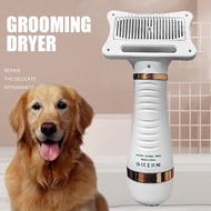 R3S Whistle 2 In 1 Portable Dog Cat Hair Dryer Comb 300w - Hg-hzp-10 - Golden R3WS