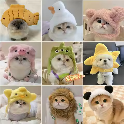Pet headgear, cat and dog,starfish snapper hat pig,chicken bear,goose animal headgear, unny role-pla