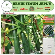 3 biji benih TIMUN JEPUN japan cucumber seeds rangup REPACKED sedap tak pahit