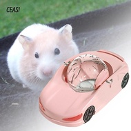 CEASI Ferret Running Ball, Plastic Transparent Hamster Sport Ball, Creativity Large Funny Hamster Ex
