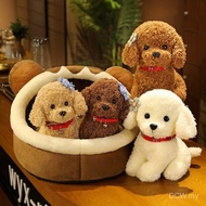 Dog DCW [Ready Stock] Cute Teddy Dog Simulation Dog Doll Plush Toy Ragdoll Sleeping Pillow Birthday 