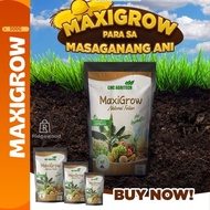 MAXIGROW FOLIAR 500g CHC Agritech | Maxigrow Foliar Fertilizer; Gardening; Natural Foliar; No Harmful Chemicals; Cultured Soil; Plantito Plantita; 100% Safe For Plants | Organic Maxigrow Foliar CHC Agritech; Organic Flower Maxigrow