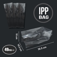 IPP Bag 49 +- Candy Gift Bag (8 x 12-inch)