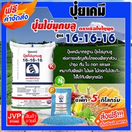 **ส่งฟรี** ปุ๋ยเคมี 16-16-16  ( 5 กิโลกรัม ) ปุ๋ยสูตร สูตรเสมอ เรือใบไข่มุข ปุ๋ยเร่งต้น ปุ๋ยเร่งดอก ปุ๋ยเร่งผล  ปุ๋ยเร่งการเจริญเติบโต