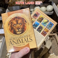 Bài Oracle Secret Language Of Animals Oracle Tặng Đá Thanh Tẩy