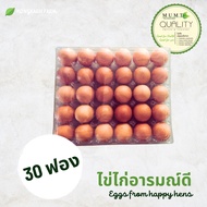 ไข่ไก่อารมณ์ดี เบอร์ 3 ไข่ไก่ออแกนิก จำนวน 30 ฟอง ไข่ไก่ออร์แกนิค สด สะอาด ปลอดภัย เลี้ยงในฟาร์มแบบธ