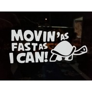 Funny Turtle Sticker