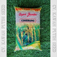 Benih Padi Ciherang Bersertifikat Label Ungu Kawah Putih Seed Indramay