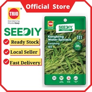 TRIO SEEDIY Kangkong Water Spinach 蕹菜  Kangkong 111 veggie seeds