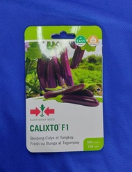 Calixto F1 (300 seeds) Hybrid Eggplant / Talong Seeds by East West Seed