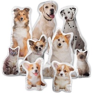 Custom Pillow Double Sided / Custom Cat Pillow / Custom Dog Pillow /Custom Pet Pillow / Customised B