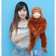 Baboon Doll Orangutan Monkey Red-Haired 17 Inch 11 Simulation Realistic Plush Plushie