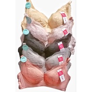 Elena Exclusive Thin Foam Underwire Bra 86127 Size 34B-40B