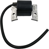 Ignition Coil High Voltage Package Suitable for 21121-2008 FC400V FC420V AM101065