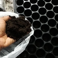 1.5kg Peat moss/ tanah semai