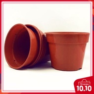 PELI TREE CHILDREN'S PASU 3"x 4" or indoor vegetable tree