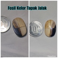 batu fosil kelor tapak jalak no katilayu kalimaya bacan rubi giok