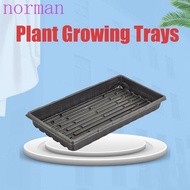 NORMAN 10Pcs Seed Propagation Tray, Reusable Plastic Plant Growing Trays, Sprout Hydroponic Systems Durable 550x285x60mm No Holes Bonsai Flowerpot Tray Wheatgrass