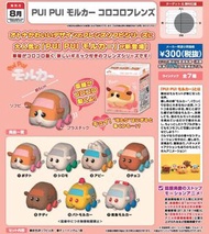 行版 Bandai 天竺鼠車車 盒玩 全7種 原盒12入