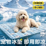 Huge Poodle Dog Special Ice Mat Cool Mat Kennel Summer Summer Summer Sleeping Cooling Dog Bed Floor 