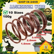 Aluminium Bonsai Gardening Wire Dawai Bonsai Aluminium 100g Bronze Pokok Bunga Garden Aluminium Bong