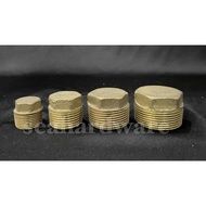 1/2'', 3/4'', 1'', 1-1/4'', 1-1/2'' Copper Plug Copper Plug Copper/ Plug Dead Cover