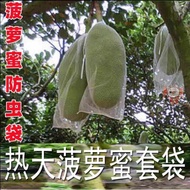 10 set 62x100  pembalut buah sarung nangka sarung dan cempedak sarungJackfruit coconut sarung 菠萝蜜网套，
