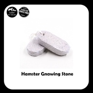 Hamster Gnawing Stone