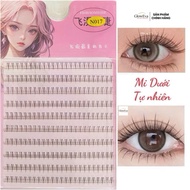 Eyelash Cluster N017 UNDER Fiber Bridal Makeup Cluster, Party Guest [N017 BELOW CLUSTER]