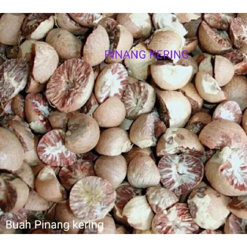 BUAH PINANG KERING BELAH DUA / PINANG MUDA