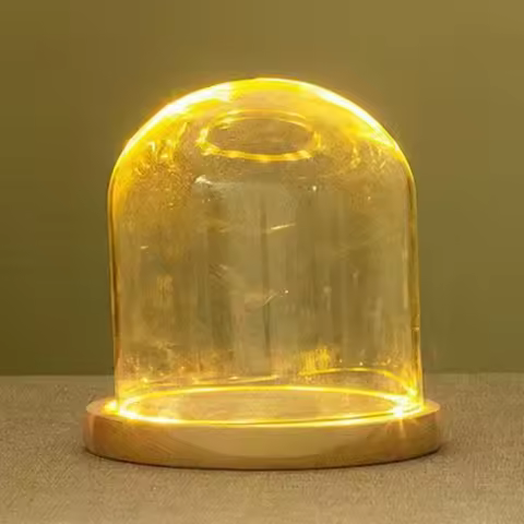 Glass Dome With LED Light Wooden Base Bedroom Decor Miniature Dollhouse DIY Holder Plant Flower Cont